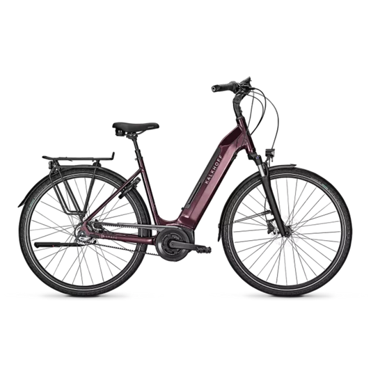 IMAGE 3.B EXC 28WA S45 cm mahagonyred glossy  500WH